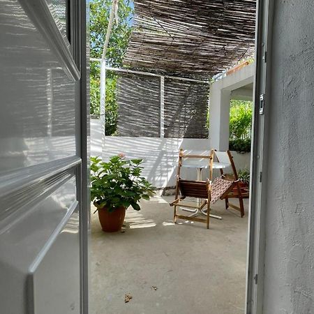 Tree Διαμέρισμα Ντουμπρόβνικ Εξωτερικό φωτογραφία