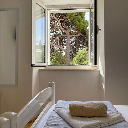 Tree Διαμέρισμα Ντουμπρόβνικ Εξωτερικό φωτογραφία