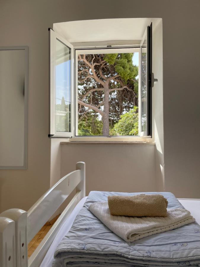 Tree Διαμέρισμα Ντουμπρόβνικ Εξωτερικό φωτογραφία